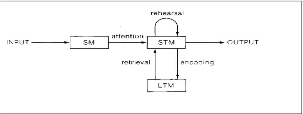 Figure 2.1 An information processing system (Weinstein, Goetz, and Alexander,  1988, P.15) 