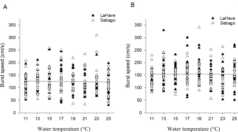 Figure 2: Burst speed (cm/s) as a function of water temperature for juvenile Atlantic 