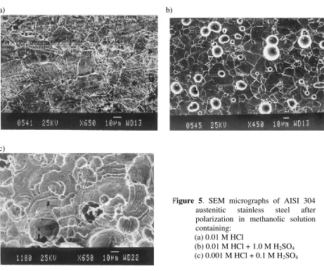 Figure 5. SEM micrographs of AISI 304 austenitic stainless steel after 