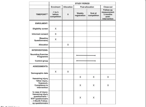 Fig. 4 Study procedure