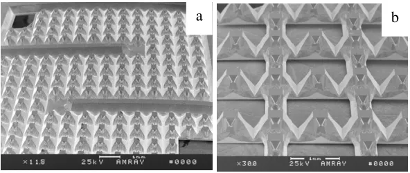 Figure 2. cathode  