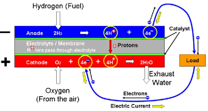 Figure 4. Fuel Cell Electrochemistry  