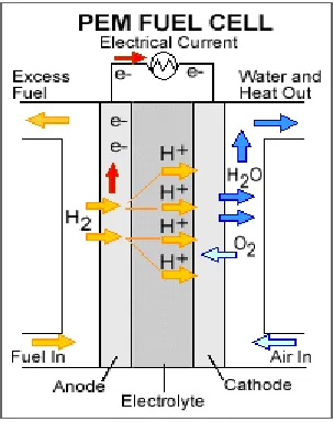 Figure 6. Basic structure and processes in PEM fuel cell, https://energy.gov/ 