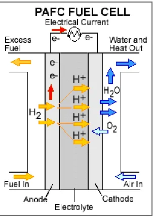 Figure 8. The basic structure and processes in PAFC, https://energy.gov/.  