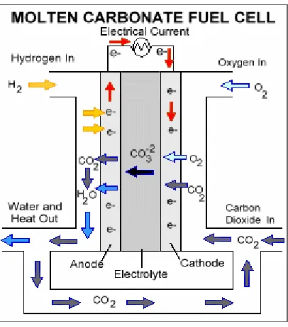 Figure 9. The basic structure and processes in MCFC, https://energy.gov/.  