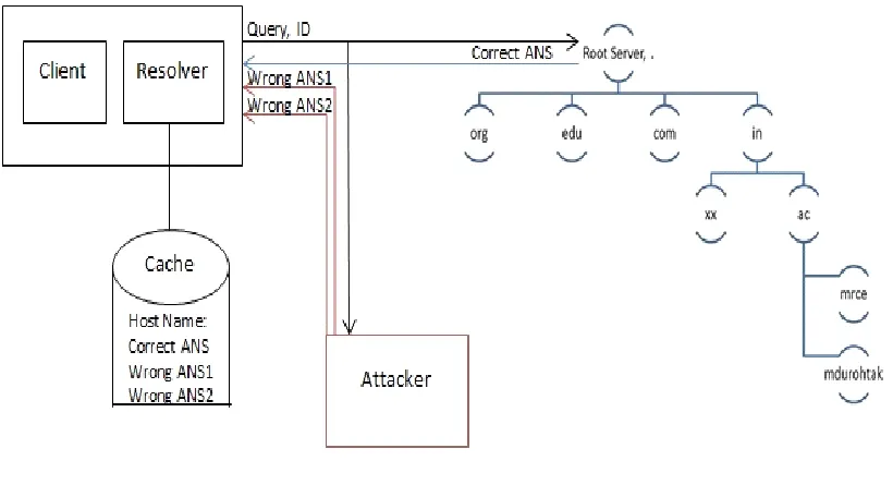 Figure 1.4 DNS Spoofing 