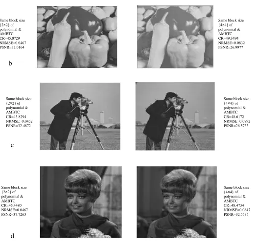 Fig 3. Compressed test images with different block size and different quality (a) Lena image, (b)Pepper image,(c) Camera-man    image and (d) Girl image respectively