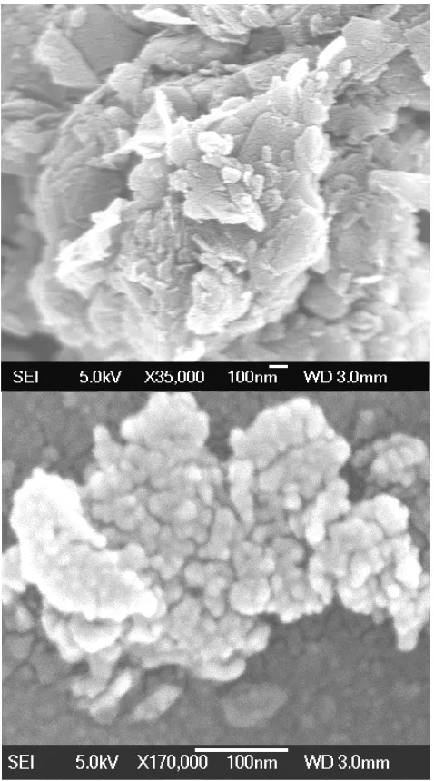 Figure.2 . SEM images of (a) Si-Cu/graphite and (b) carbon-coated Si-Cu/graphite composites