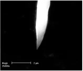Figure 1.  The schematics of the etching of platinum wire. 
