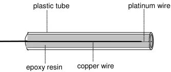 Figure 3.  The schematics of the platinum disk nanoelectrode. 