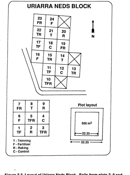 Figure 3.3. Layout of Uriarra Neds Block. Soils from plots 2, 9 and 20 (raked), and from 6,16 and 24 (fertilized) were used.