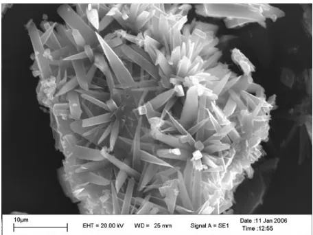 Figure 1. SEM image of purified LiBOB crystal.  