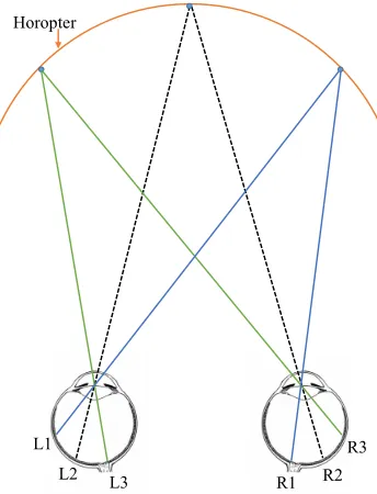 Figure 2.26: An example of a stereoscopic image