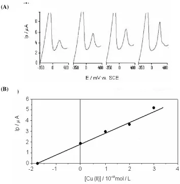 Figure 6. (A) Stripping voltammograms at different concentrations of standard Cu(II) in ultra pure water (nanopure system)