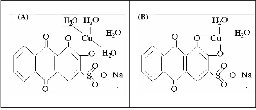 Figure 1: Proposed molecular structures for (A) Cu(II)-ARS  and (B) Cu(I)-ARS complexes
