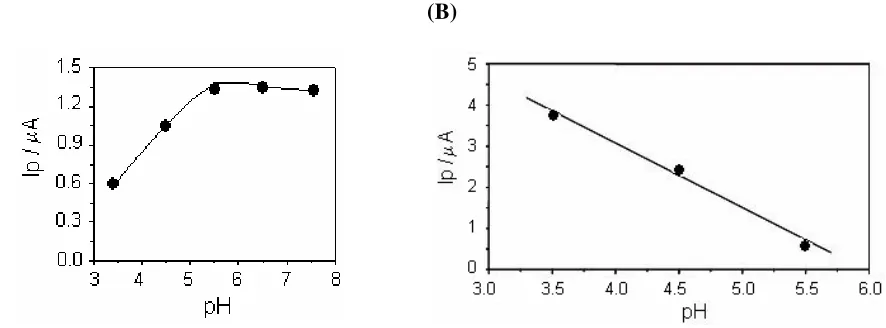 Figure 3 (B).   