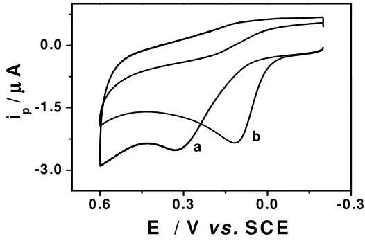 Figure 2.  Cyclic voltammograms for 0.2 mM AA in 0.1 M phosphate buffer solution (pH 7.0) at bare Au electrode (a) and L-Cys/Au electrode (b)