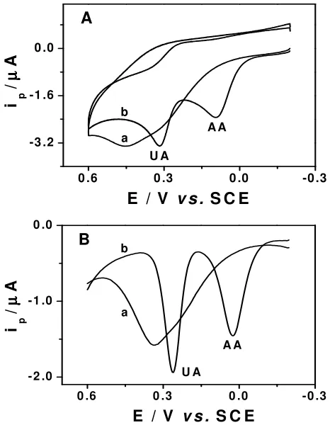 Figure 3.         CVs (A) and DPVs (B) for the homogeneous solution of 0.1 mM UA and 0.2 mM AA at bare (a) and L-Cys/Au electrode (b) in 0.1 M phosphate buffer solution (pH 7.0)