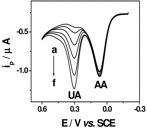 Figure 4. DPVs of UA and AA at [AA] was kept constant and [UA] was changed (i.e., [AA]=0.16 mM, [UA]: (a) 10, (b) 20, (c) 30, (d) 40, (e) 60, (f) 80 L-Cys/Au electrode in 0.1 M phosphate buffer solution (pH 7.0), µM)