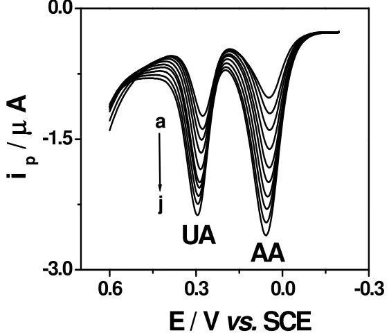 Figure 5. DPVs for UA and AA at L-Cys/Au electrode in 0.1 M phosphate buffer solution (pH 7.0) while simultaneously changing their concentration (i.e., [UA] = (a) 54, (b) 65, (c) 75, (d) 87, (e) 100, µ