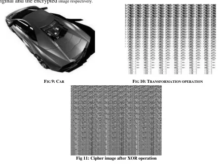 Fig 11: Cipher image after XOR operation 