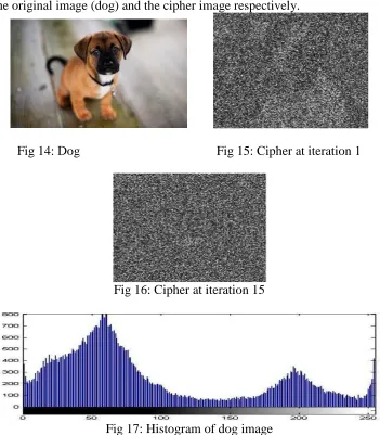 Fig 14: Dog                                          Fig 15: Cipher at iteration 1   
