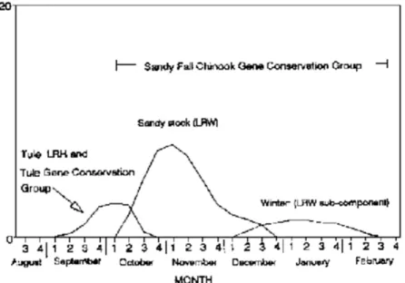 Figure 10. General spawning time distribution for Sandy fall chinook populations 