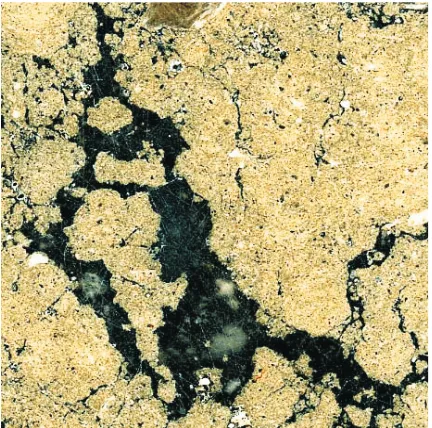 Fig. 1. Cross section of soil from 10-18 cm soil layer (fragmentwith dimensions of 2x2 cm, pores appear black).