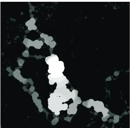 Fig. 2. Macropores selected by ImgMaximumContrastThresholdoperator (pores appear red).
