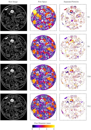 Figure 7.Figure 7. Example slices of unprocessed and processed XMT images for LECA-Sedum substrate microcosms