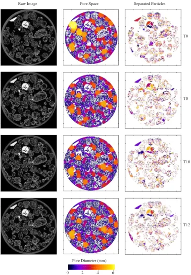 Figure 7. Example slices of unprocessed and processed XMT images for LECA-Sedum substratemicrocosms