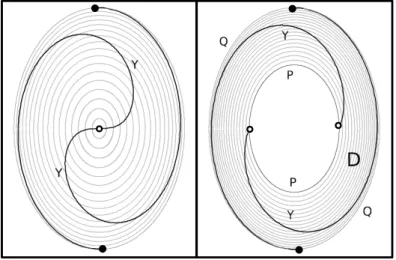 Figure 6.3: The yinyang curves for r = π √