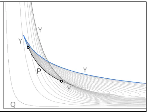 Figure 6.4: The image η Z ◦ E(D 5 ).