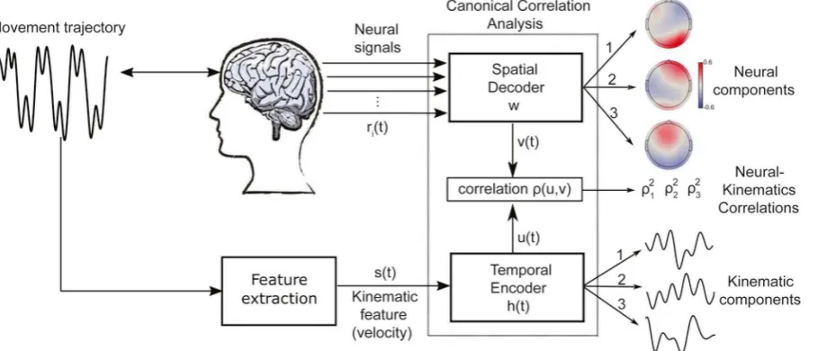Fig. 2. Schematic view of EEG2Beh(avior) and the identified. Subjects move their fingers to actively sense a surface while their brain activity (e.g
