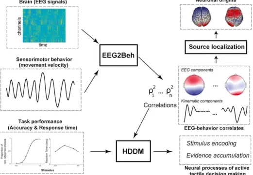 Fig. 4. Brain sources of the three EEG components showing significant brain-behavior couplings