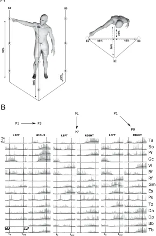 Figure 1. Experimental task and EMG recordings. (A) Illustration of the experimental protocol
