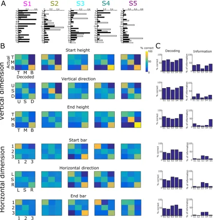 Figure 3. Task coding function of spatial muscle synergies. (A) The five spatial synergies extracted from the single-trial EMG data of an example subject as vectors of muscle activation levels