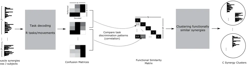 Figure 7. Schematic illustration of our computational approach comprising three steps: decoding, functional similarity analysis and clustering