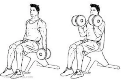 Figure 3.3. A seated dumbbell biceps curl. Left picture: starting and ending position of the movement displaying zero degrees in elbow flexion angle