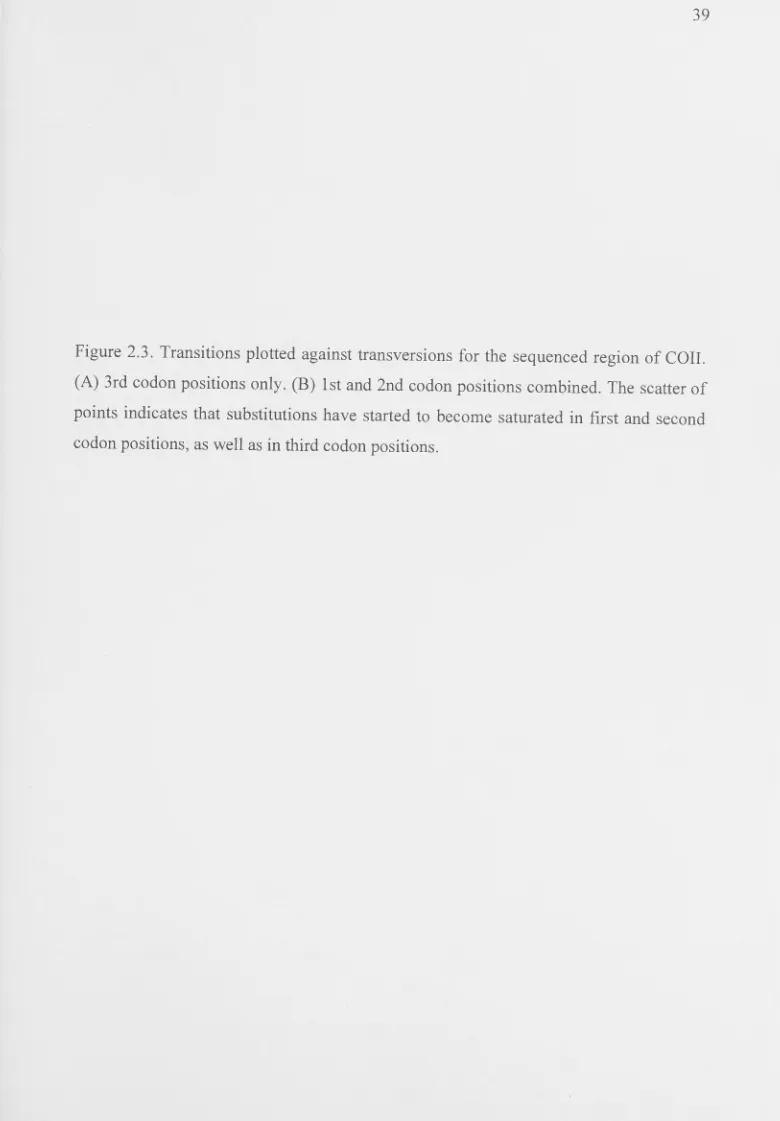 Figure 2.3. Transitions plotted against transversions for the sequenced region of COIL 