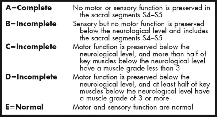 Fig 1. American Spinal Injury Association Impairment Scale (AIS)  