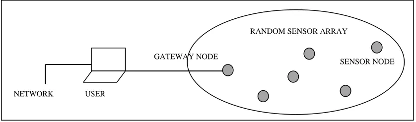 Figure 1.1: Wireless Sensor Network as Subset of Wireless Network. 