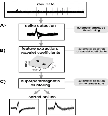 Figure 2. Overview of the automatic clustering procedure  
