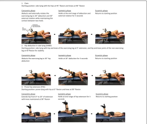 Fig. 1 Detailed descriptions and illustrations of the three defined phases of hip exercises