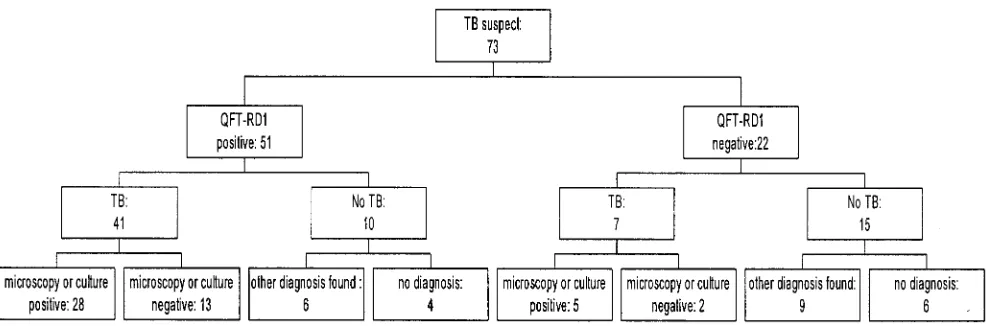 FIG. 2. Results of the QFT-RD1 test, clinical, and microbiological investigations of all 73 TB suspects are shown in this diagram
