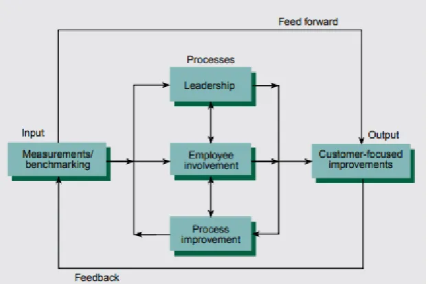 Fig 1. A system of management for organizational improvement  