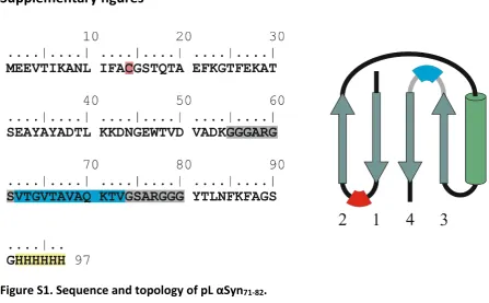 Figure S1. Sequence and topology of pL �Syn71-82.  