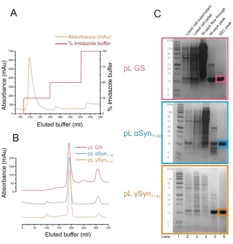 Figure S3. Two-step purification of pL variants.  