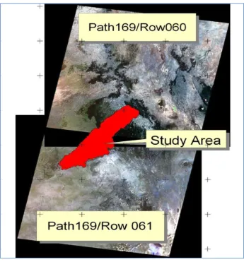 Figure 3.2: Mosaiced tiles of the TM and ETM+ Landsat sensors  