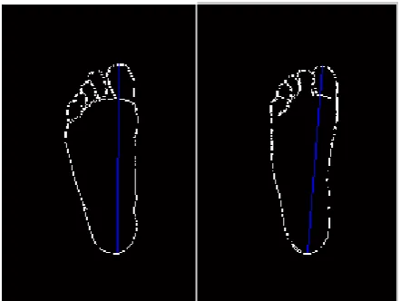Figure.5: The length 
